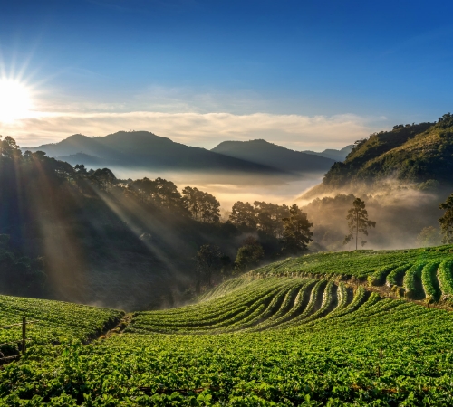 Sikkim Darjeeling Trip Packages