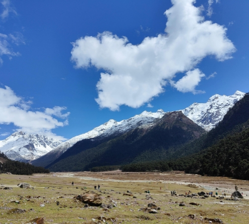 North Sikkim and Darjeeling Tour Package